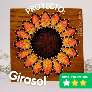 Proyecto Girasol