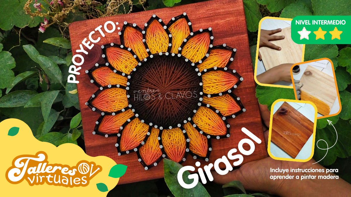 Proyecto Girasol